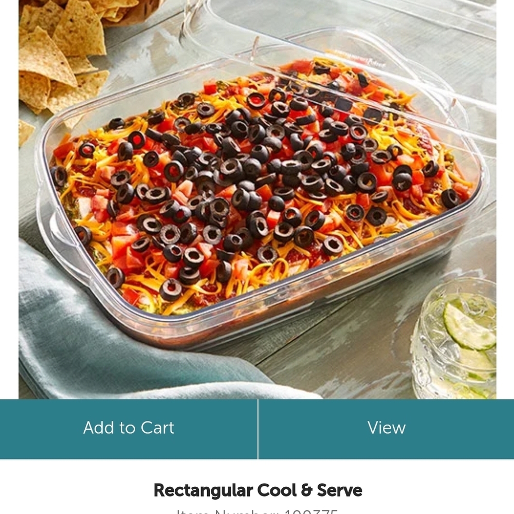 Rectangular Cool & Serve Tray